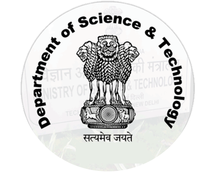 DST logo